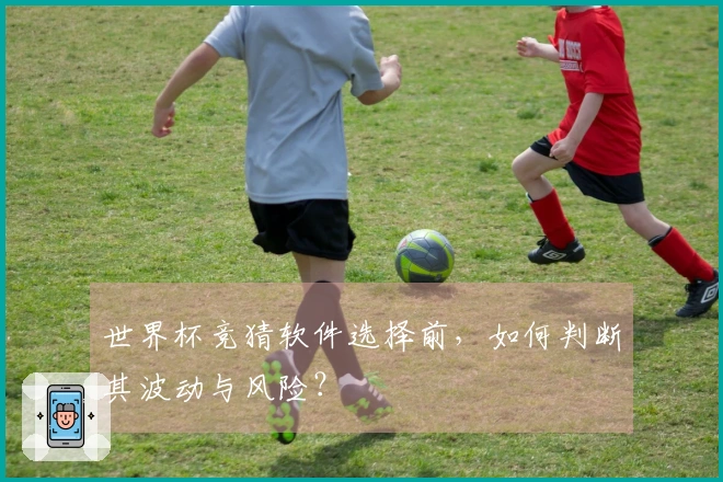 世界杯竞猜软件选择前，如何判断其波动与风险？