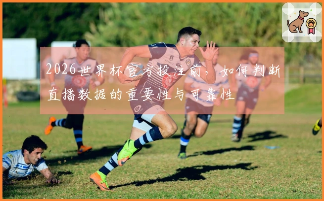 2026世界杯官方投注前，如何判断直播数据的重要性与可靠性