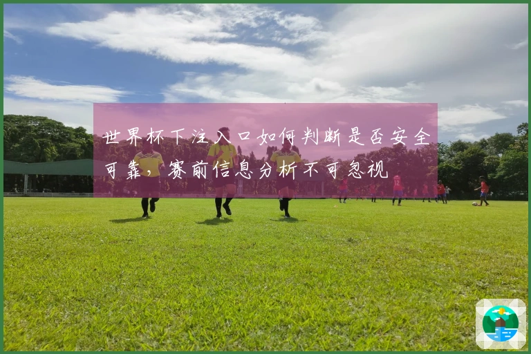 世界杯下注入口如何判断是否安全可靠，赛前信息分析不可忽视