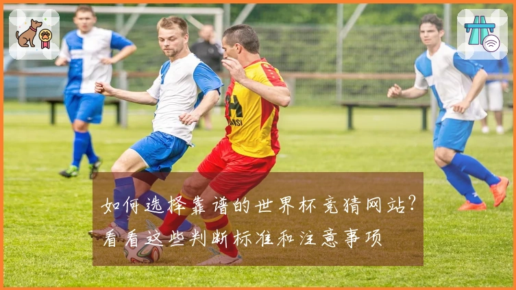 如何选择靠谱的世界杯竞猜网站？看看这些判断标准和注意事项