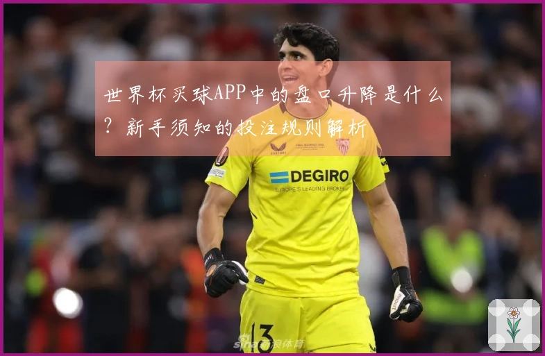 世界杯买球APP中的盘口升降是什么？新手须知的投注规则解析