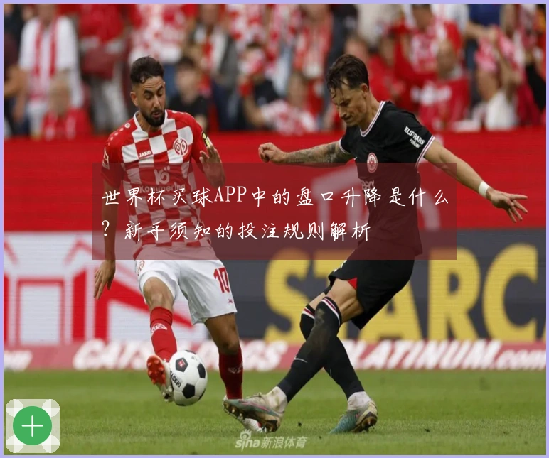 世界杯买球APP中的盘口升降是什么？新手须知的投注规则解析