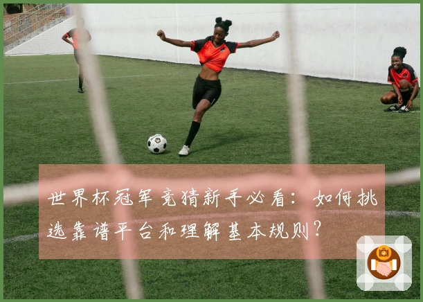 世界杯冠军竞猜新手必看：如何挑选靠谱平台和理解基本规则？
