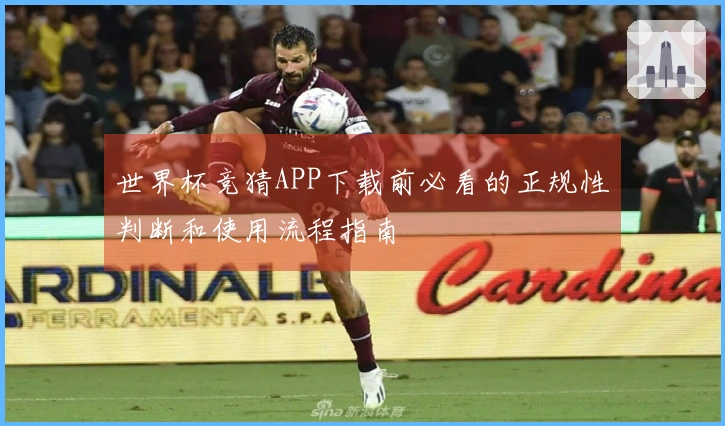 世界杯竞猜APP下载前必看的正规性判断和使用流程指南
