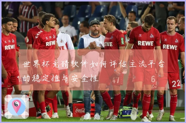 世界杯竞猜软件如何评估主流平台的稳定性与安全性