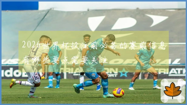 2026世界杯投注前必备的赛前信息有哪些要点需要关注