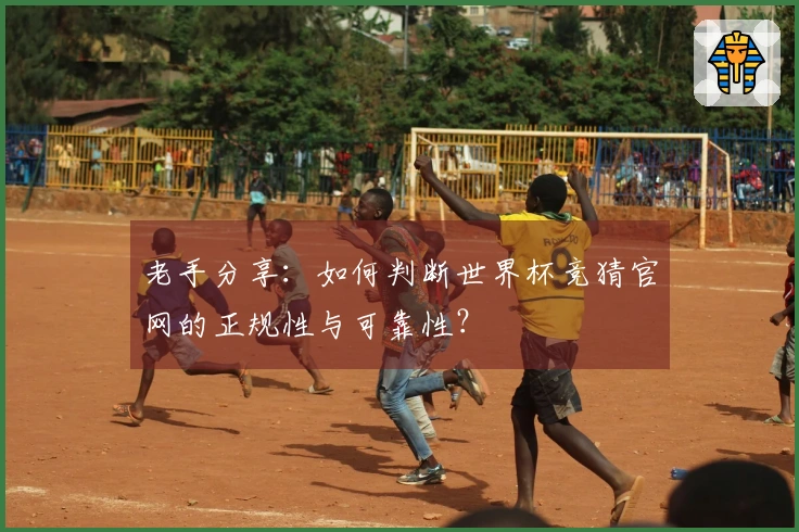老手分享：如何判断世界杯竞猜官网的正规性与可靠性？