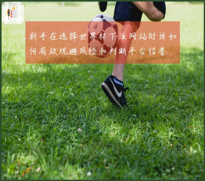 新手在选择世界杯下注网站时该如何有效规避风险和判断平台信誉