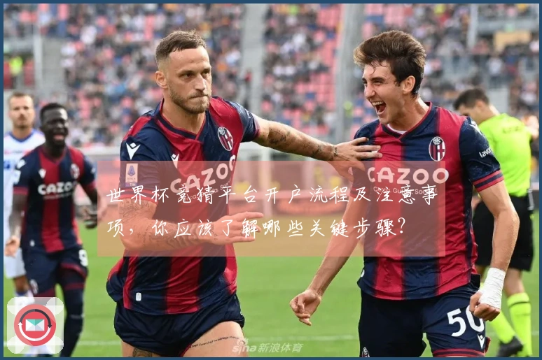 世界杯竞猜平台开户流程及注意事项，你应该了解哪些关键步骤？