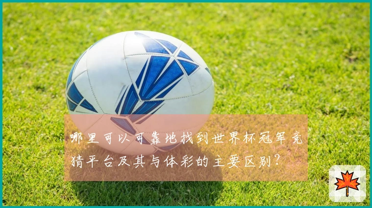 哪里可以可靠地找到世界杯冠军竞猜平台及其与体彩的主要区别？