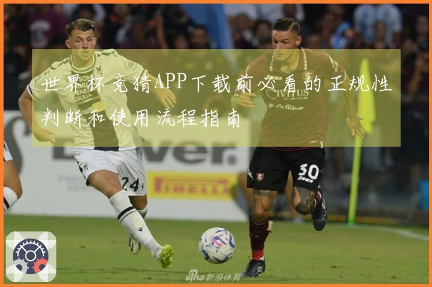 世界杯竞猜APP下载前必看的正规性判断和使用流程指南