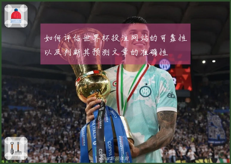 如何评估世界杯投注网站的可靠性以及判断其预测文章的准确性