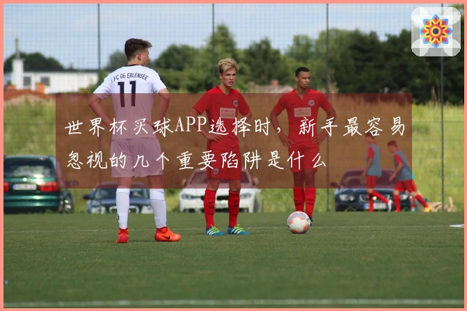 世界杯买球APP选择时，新手最容易忽视的几个重要陷阱是什么