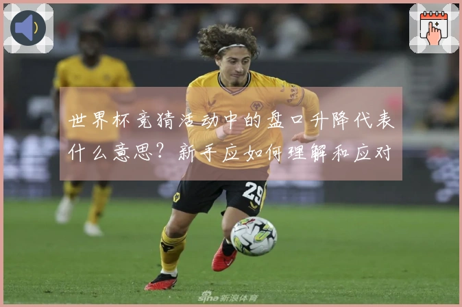 世界杯竞猜活动中的盘口升降代表什么意思？新手应如何理解和应对？
