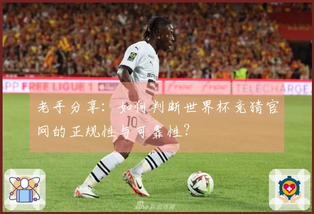 老手分享：如何判断世界杯竞猜官网的正规性与可靠性？