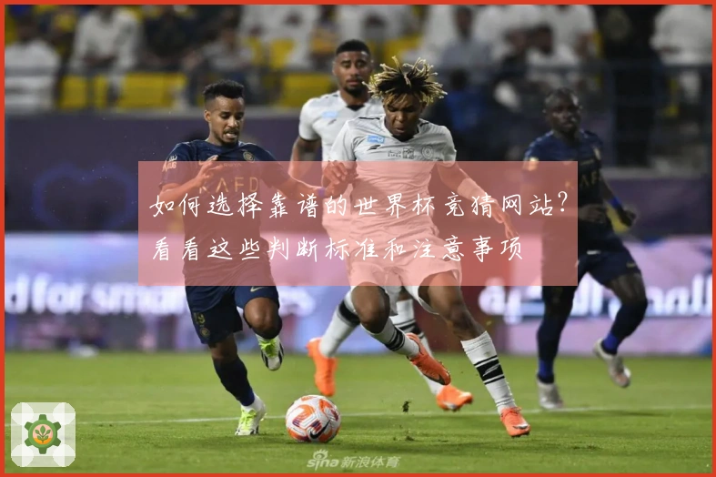 如何选择靠谱的世界杯竞猜网站？看看这些判断标准和注意事项
