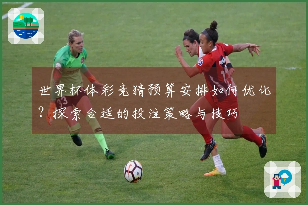世界杯体彩竞猜预算安排如何优化？探索合适的投注策略与技巧