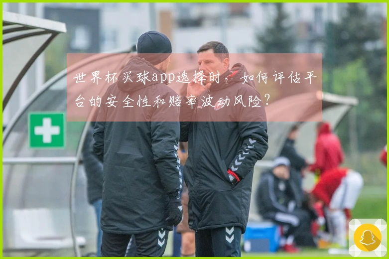 世界杯买球app选择时，如何评估平台的安全性和赔率波动风险？