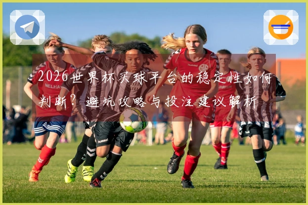 2026世界杯买球平台的稳定性如何判断？避坑攻略与投注建议解析