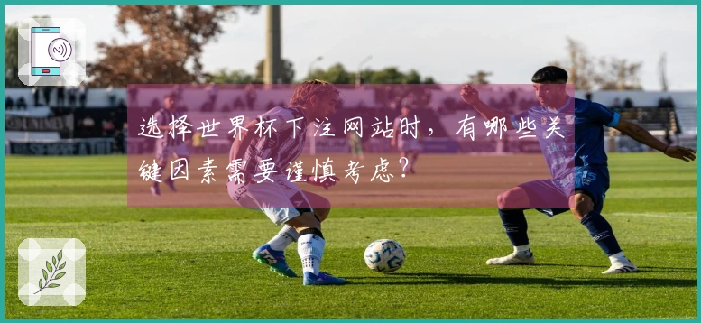 选择世界杯下注网站时，有哪些关键因素需要谨慎考虑？